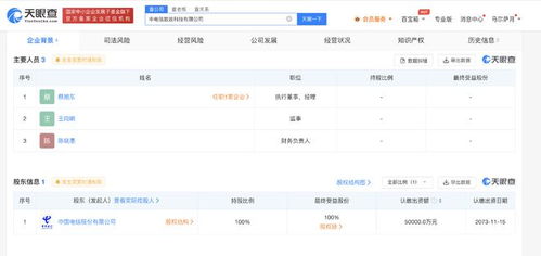中國電信成立新公司 投資5億元布局計(jì)算機(jī)系統(tǒng)服務(wù)